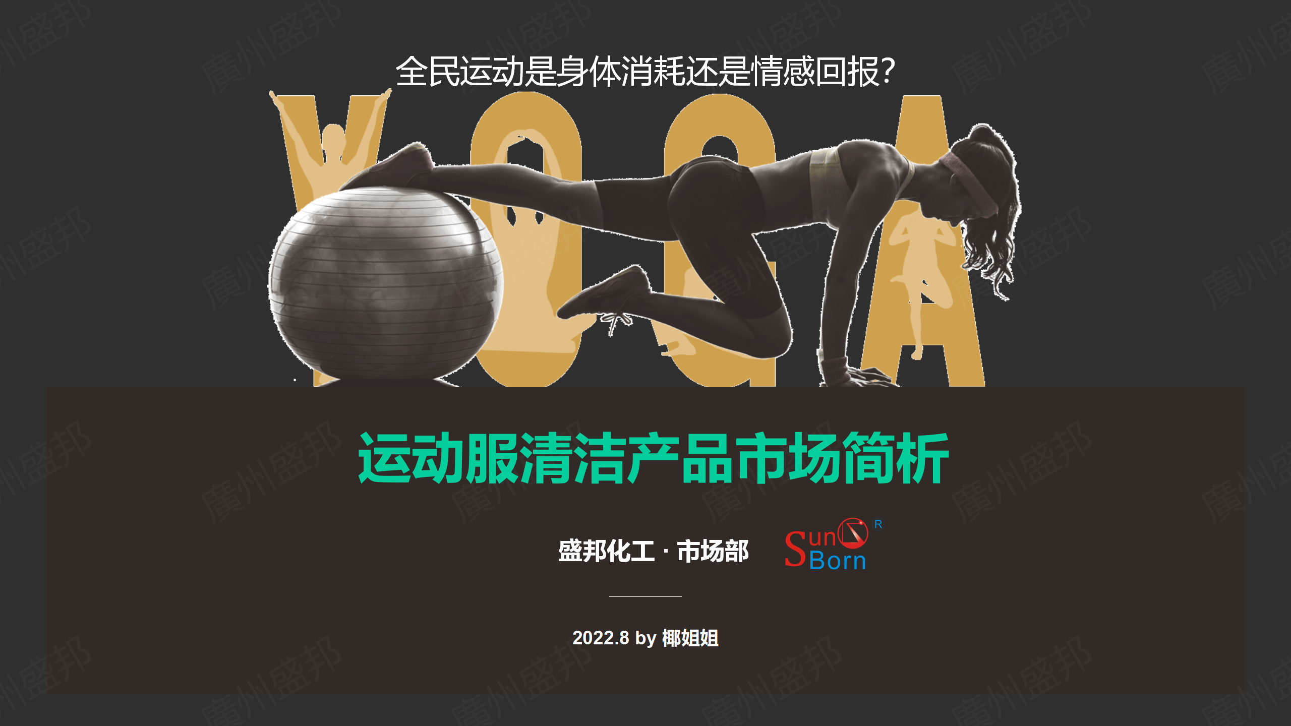 運(yùn)動服洗衣產(chǎn)品市場簡析-修改_01